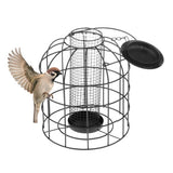 Iron Wire Cage Bird Feeder