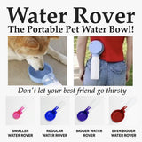 Water Rover Regular 4-Inch Bowl and 15-Ounce Bottle, Pink