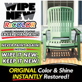 Wipe New Recolor Furniture Restorer Wipe-On Applicator