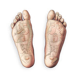 Soothe Reflexology Massage Footprint