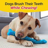 BrushBone - Dog Toothbrush Bone - 6 Pack