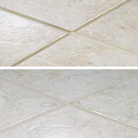 Grout Shield Grout Restoration System- (Almond)